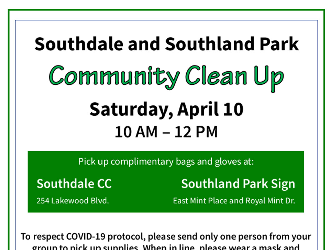 Community Clean-up - Image 5