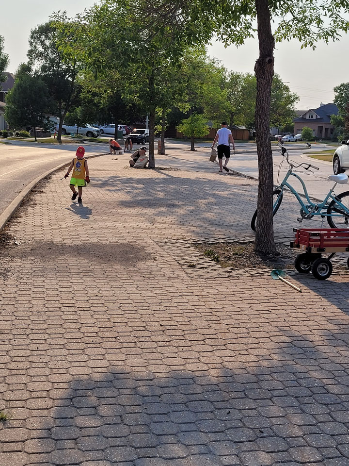 Boulevard Clean-up - Image 2