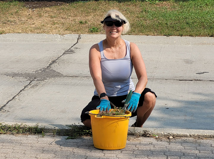 Boulevard Clean-up - Image 5