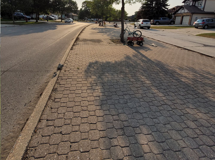 Boulevard Clean-up - Image 7