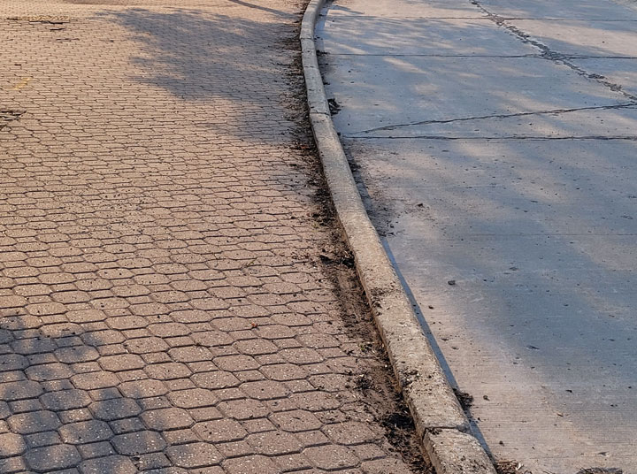 Boulevard Clean-up - Image 9