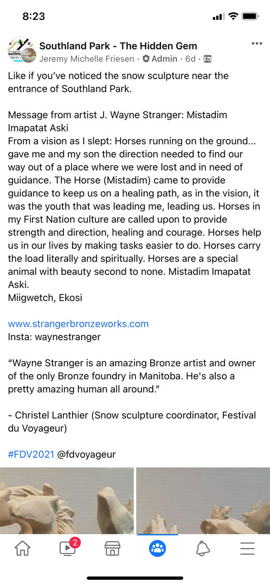 Ice Sculpture - Image 20