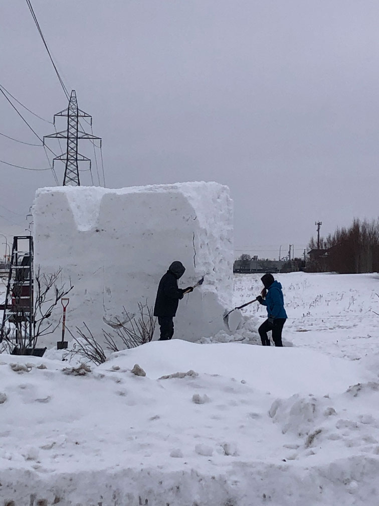 Ice Sculpture - Image 8
