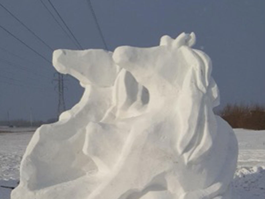 Ice Sculpture - Image 13