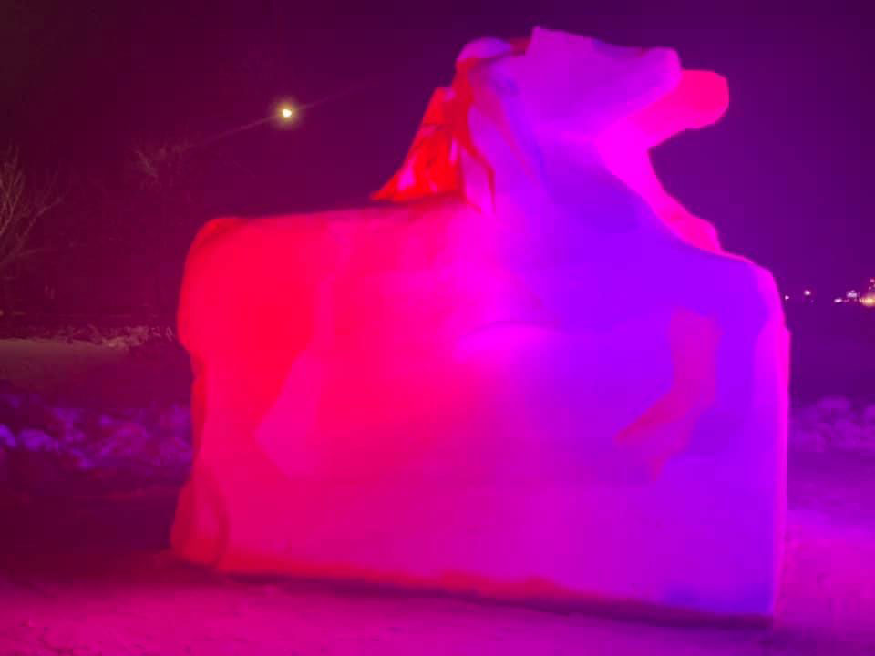 Ice Sculpture - Image 14