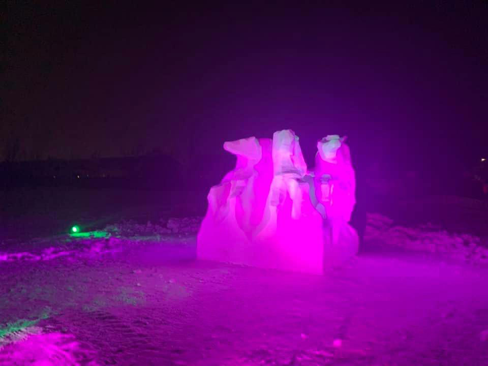 Ice Sculpture - Image 16
