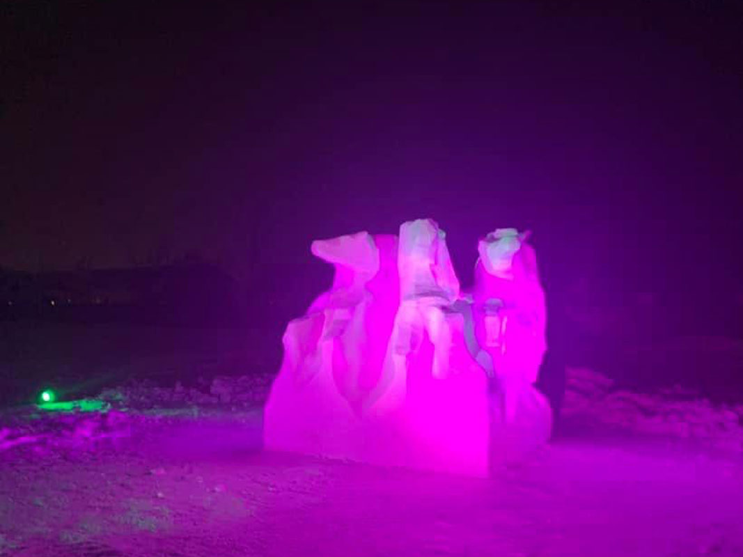 Ice Sculpture - Image 17