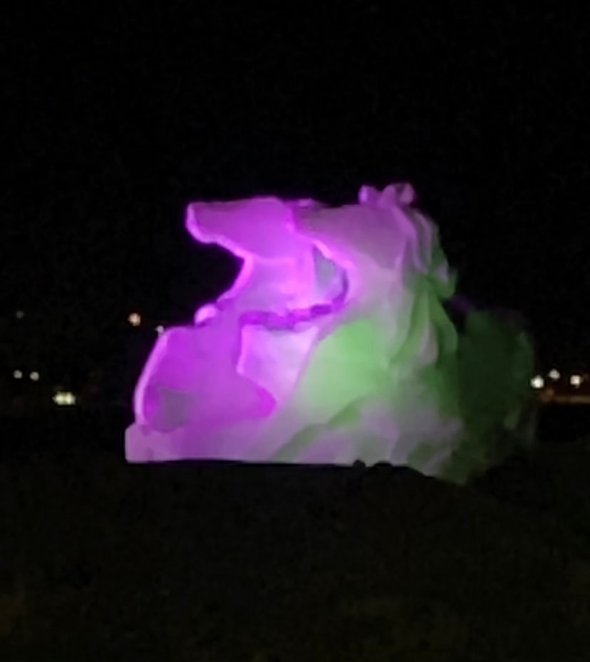Ice Sculpture - Image 18