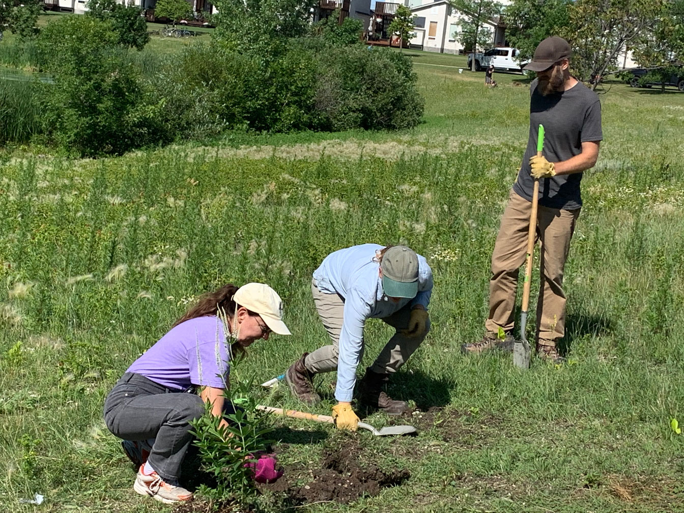 Wild Flowers Planting - Image 2