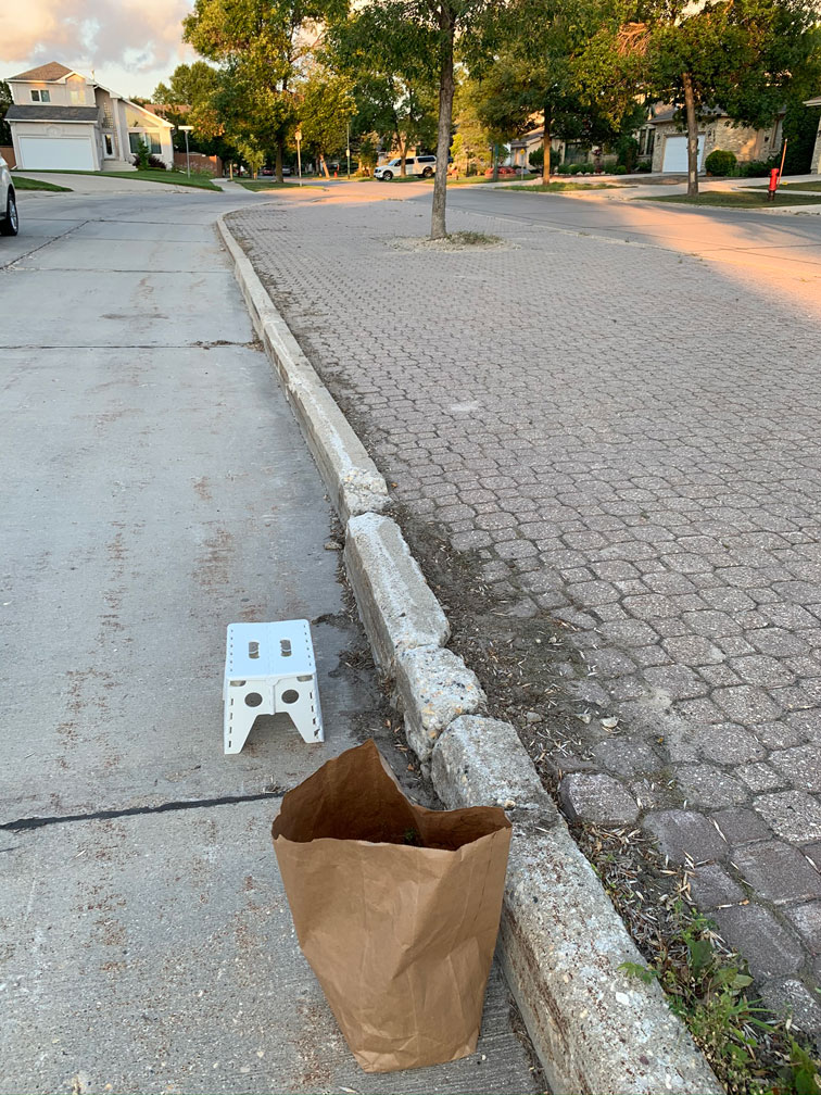 Boulevard Clean-Up - Image 20