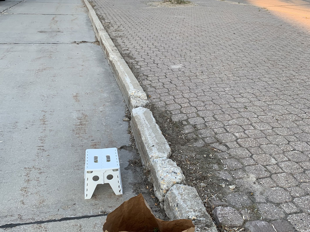 Boulevard Clean-Up - Image 21