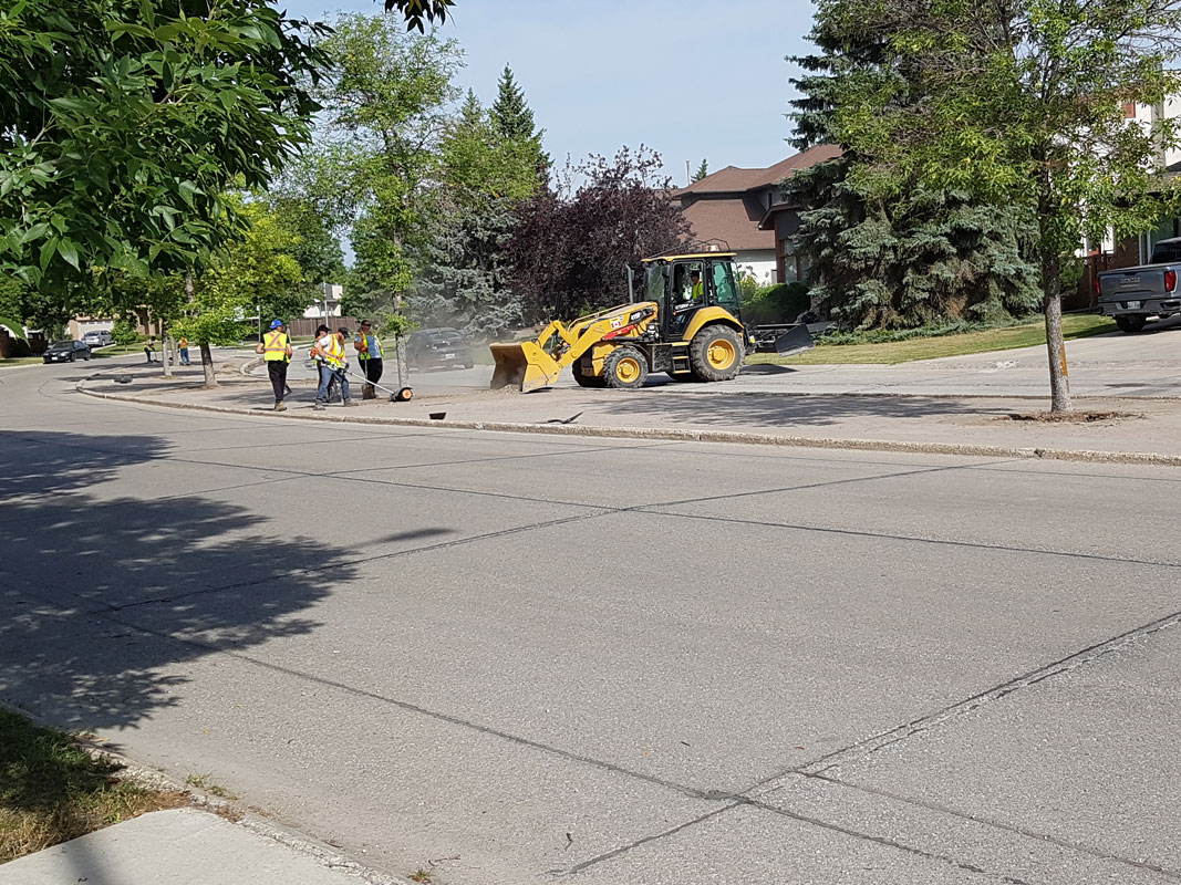 Boulevard Clean-Up - Image 25