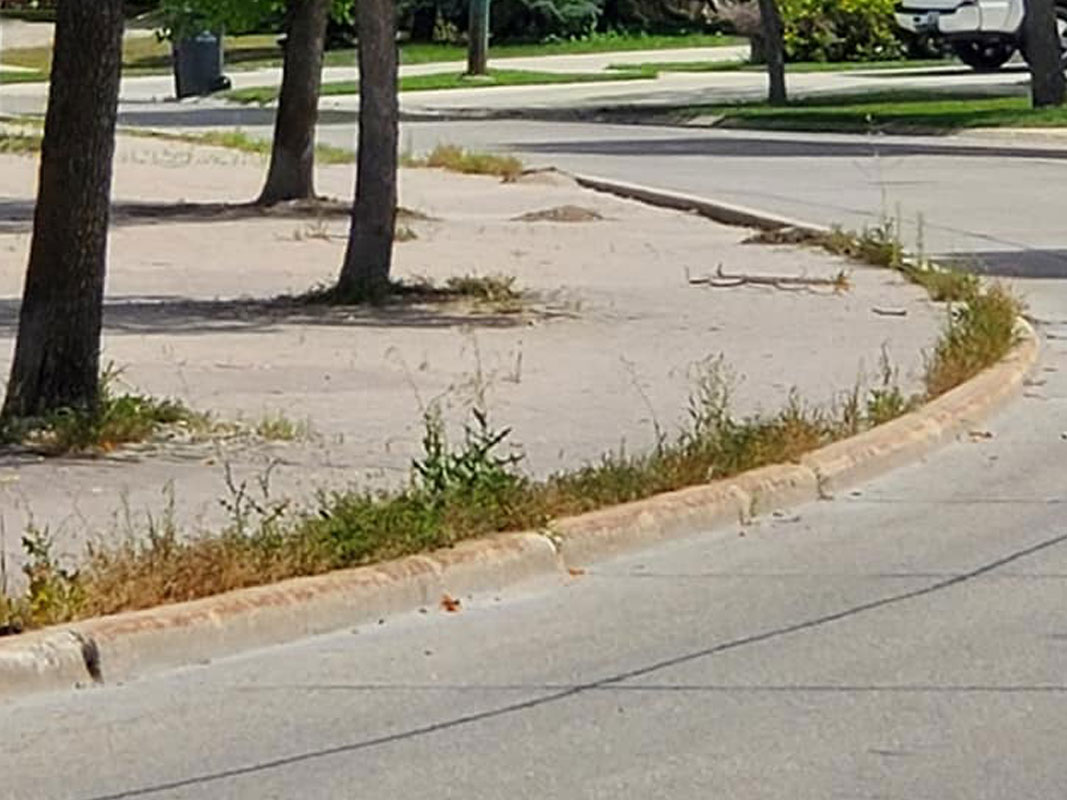 Boulevard Clean-Up 2020