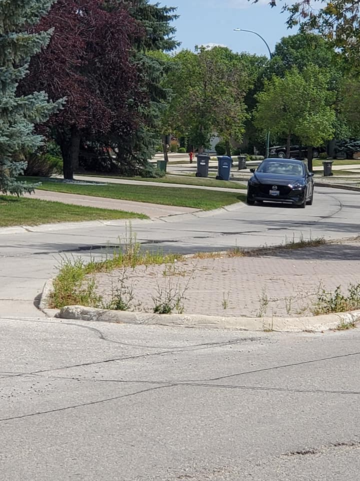 Boulevard Clean-Up - Image 4