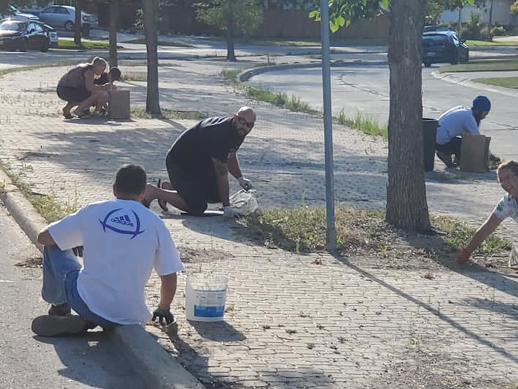 Boulevard Clean-Up - Image 7