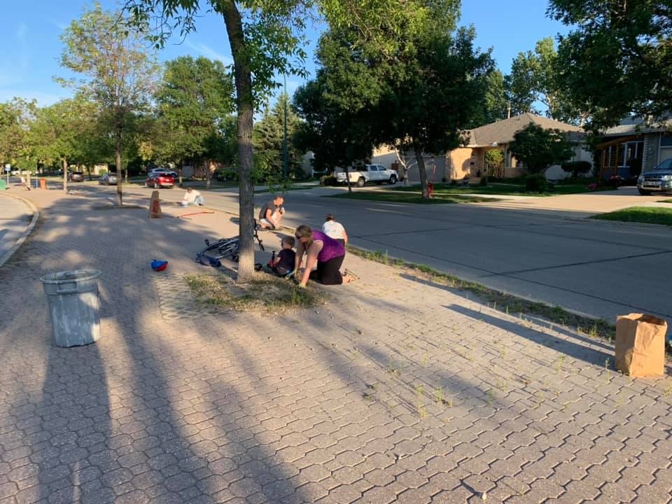 Boulevard Clean-Up - Image 8