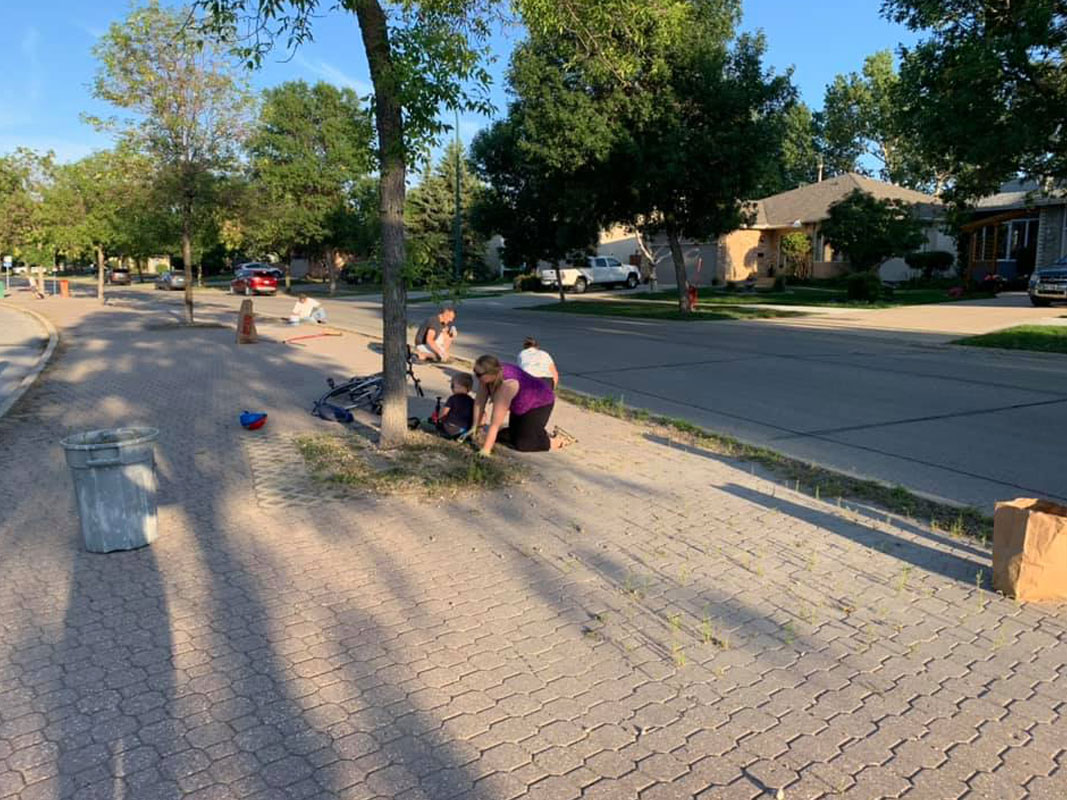 Boulevard Clean-Up - Image 9