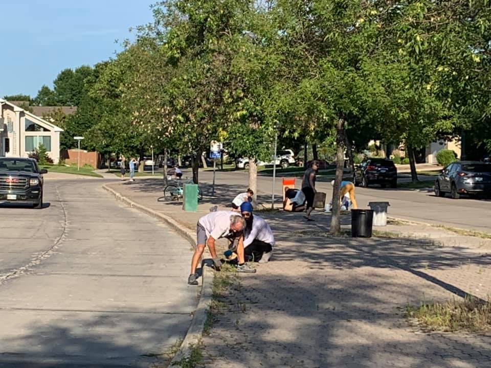 Boulevard Clean-Up - Image 10