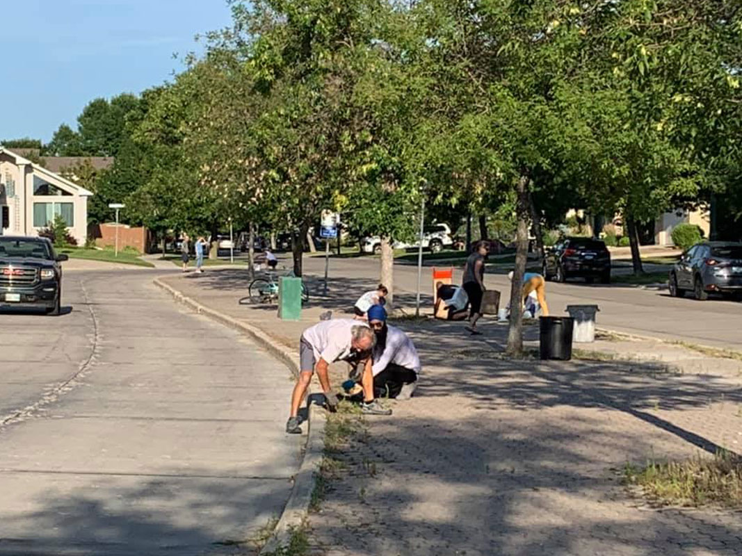 Boulevard Clean-Up - Image 11