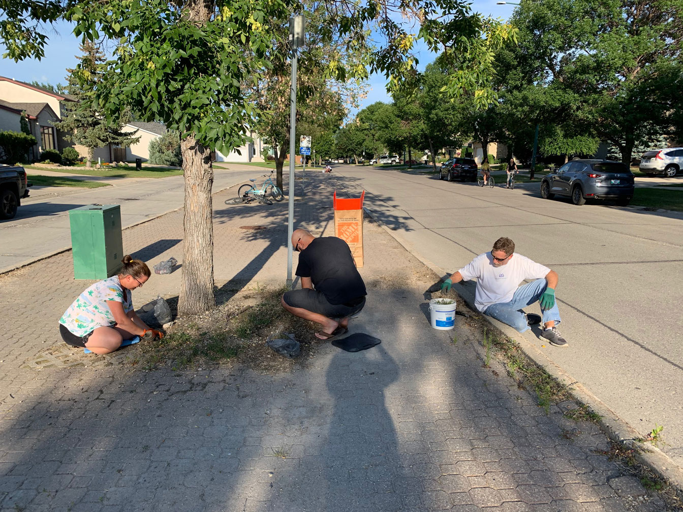 Boulevard Clean-Up - Image 12