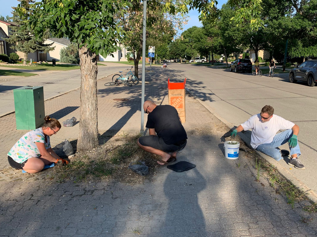 Boulevard Clean-Up - Image 13