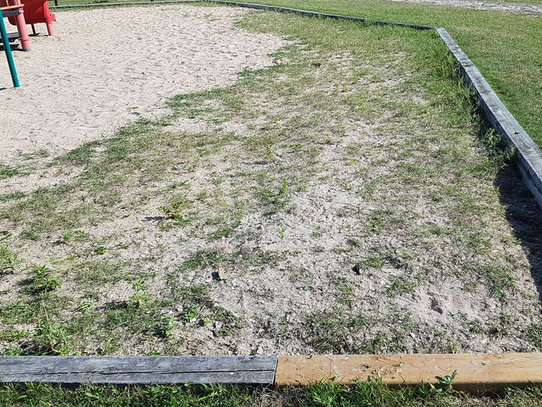 Playground Clean-Up 2020