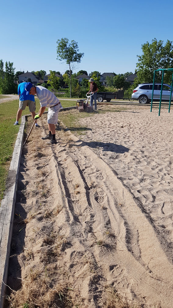 Playground Clean-Up - Image 8