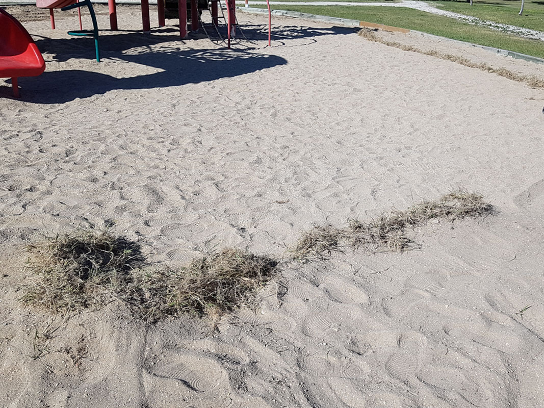 Playground Clean-Up - Image 11