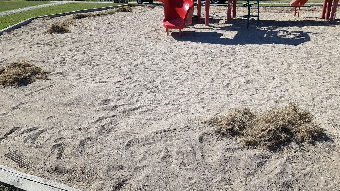 Playground Clean-Up - Image 12