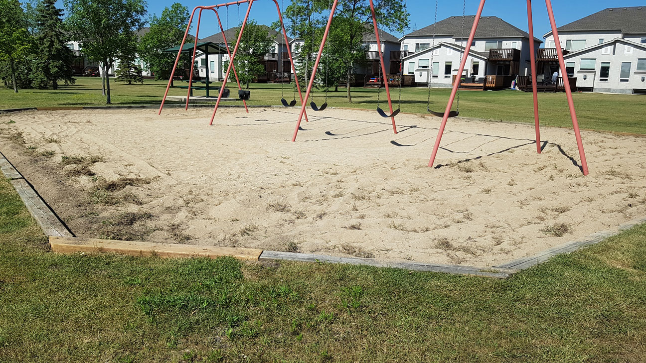 Playground Clean-Up - Image 14