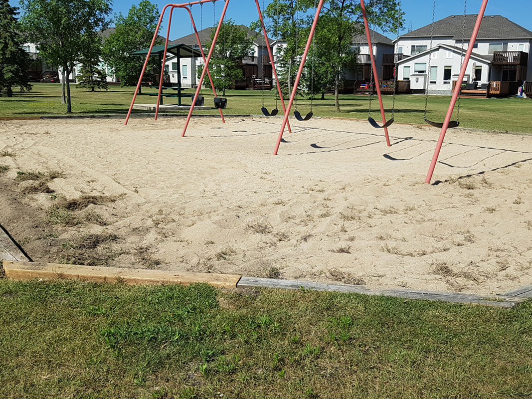 Playground Clean-Up - Image 15