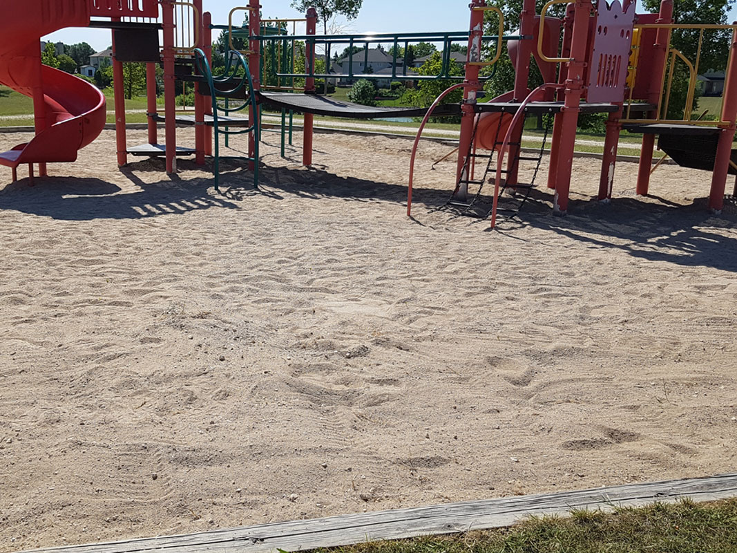 Playground Clean-Up - Image 17