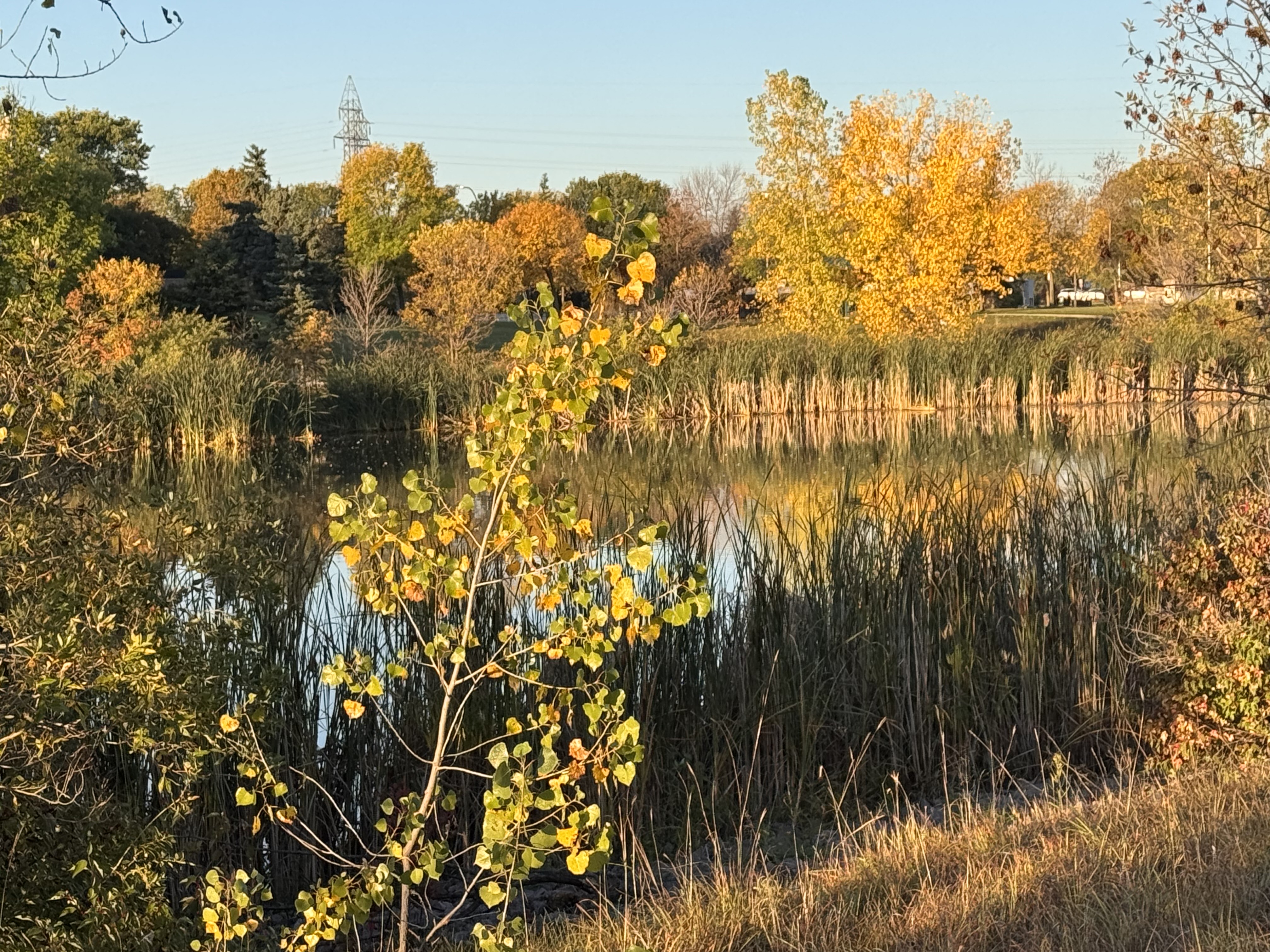 Welcome to Southland Park